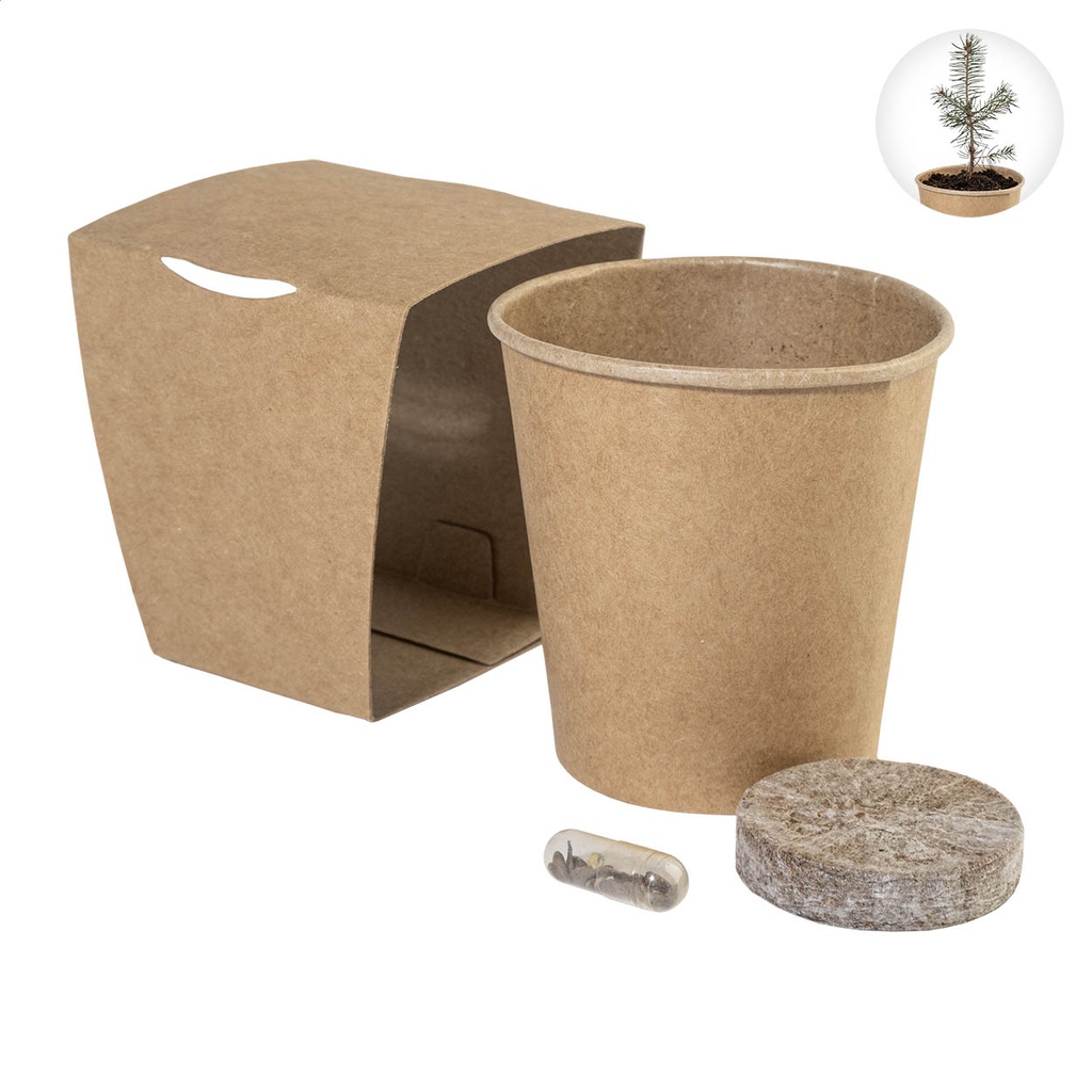 Christmas Tree Growing Kit