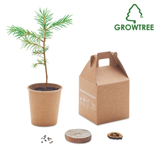 [MO6228-13] Pine Tree Set