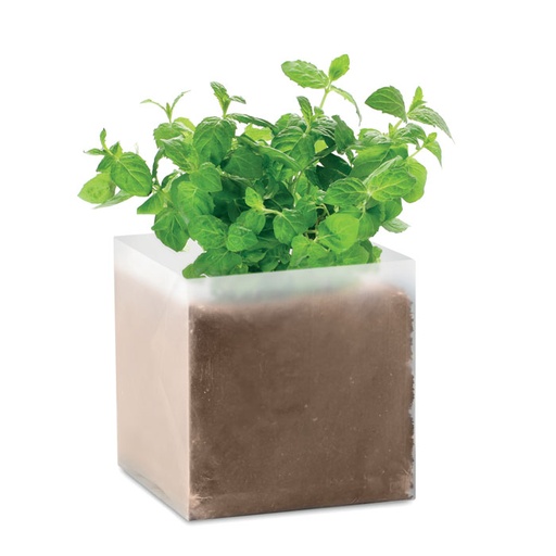 [MO9546-13] Compost With Seeds "Mint"