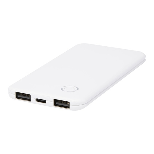 [12431901] Slender 4000 mAh slim dual power bank