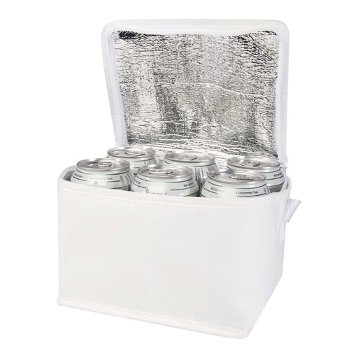 Spectrum 6-can recycled non-woven cooler bag 4L