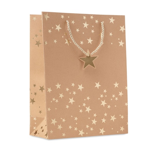 [CX1497-98] Gift Paper Bag With Pattern