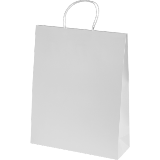 [BPKWE0101] Ashdown Large Paper Gift Bag
