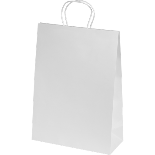 [BPKWD0101] Ashdown Medium Paper Gift Bag