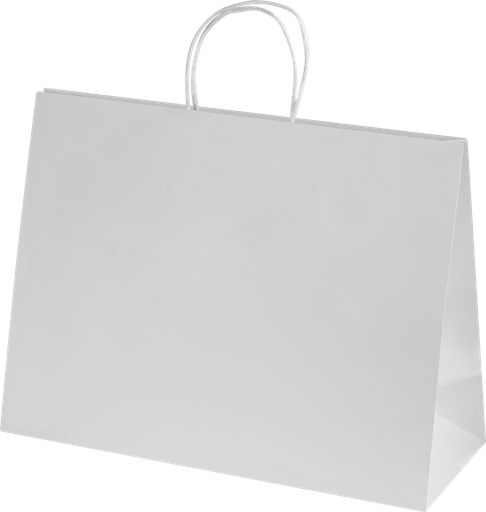 [BPKWF0101] Ashdown XL Paper Gift Bag